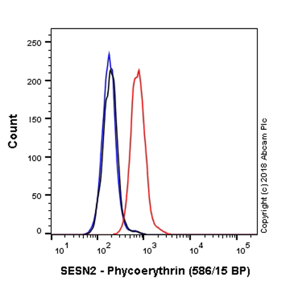 Flow Cytometry (Intracellular) - PE Anti-SESN2/Sestrin-2 antibody [EPR18907] (AB225259)