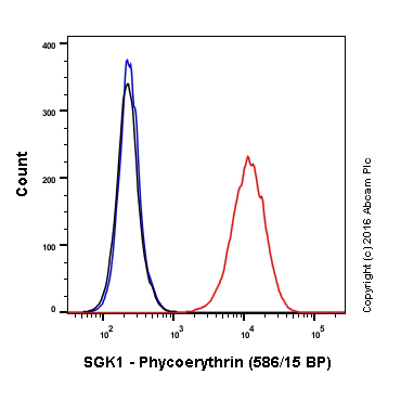 Flow Cytometry (Intracellular) - PE Anti-SGK1 antibody [Y238] (AB212093)