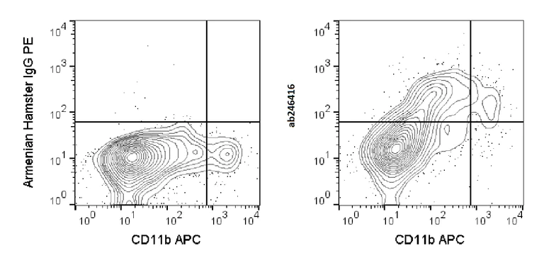 Flow Cytometry - PE Anti-SIGN-R1 antibody [22D1] (AB246416)
