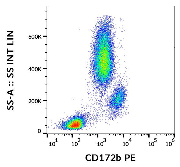 Flow Cytometry - PE Anti-SIRPB1 antibody [B4B6] (AB253258)