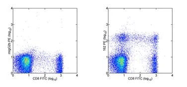 Flow Cytometry - PE Anti-SLAMF7/CS1 antibody [162] (AB95827)