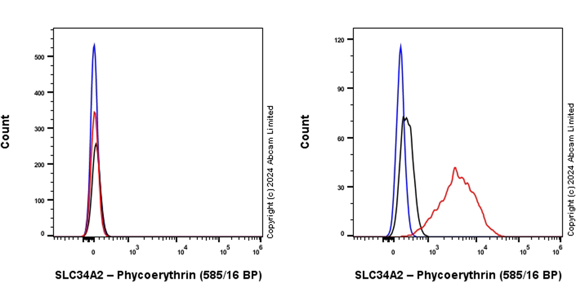 Flow Cytometry (Intracellular) - PE Anti-SLC34A2 antibody [SP322] - N-terminal (AB322453), expandable thumbnail