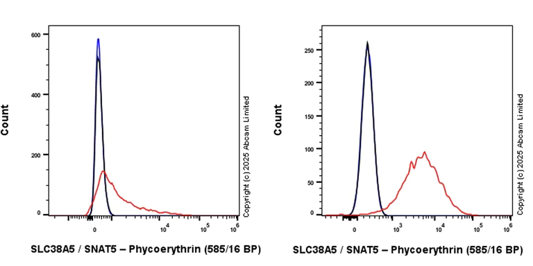 Flow Cytometry - PE Anti-SLC38A5 / SNAT5 antibody [EPR27109-86] (AB324287)