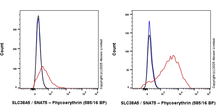 Flow Cytometry - PE Anti-SLC38A5 / SNAT5 antibody [EPR27109-86] (AB324287)