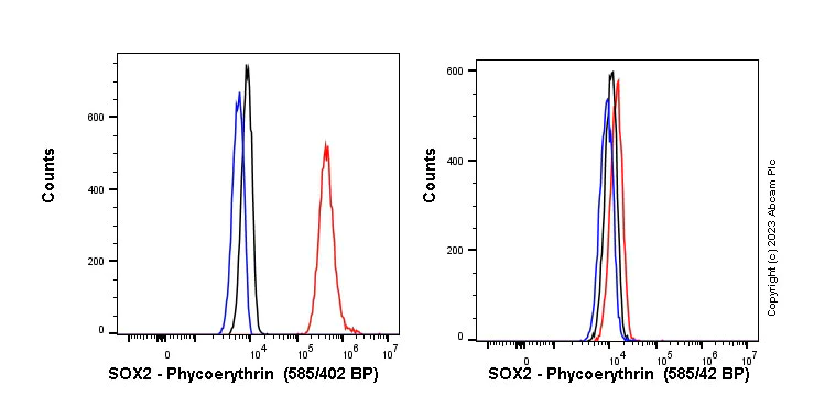 Flow Cytometry (Intracellular) - PE Anti-SOX2 antibody [SP76] (AB314247)