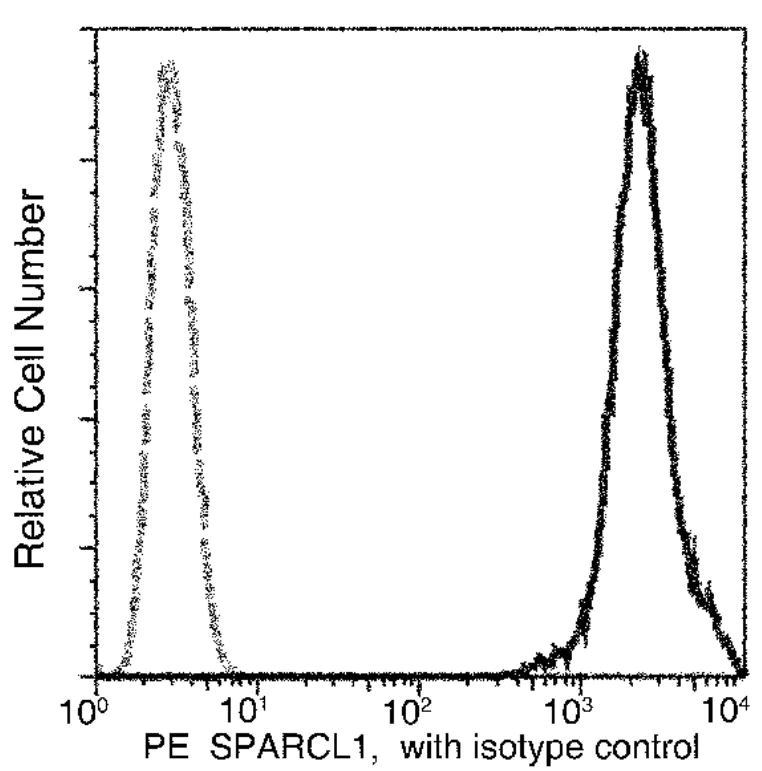 Flow Cytometry (Intracellular) - PE Anti-SPARCL1 antibody [390] (AB275644)