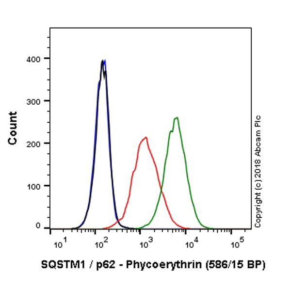 Flow Cytometry (Intracellular) - PE Anti-SQSTM1 / p62 antibody [EPR18351] - Autophagosome Marker (AB225454)