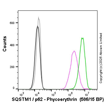 Flow Cytometry (Intracellular) - PE Anti-SQSTM1 / p62 antibody [EPR18351] - Autophagosome Marker (AB225454), expandable thumbnail
