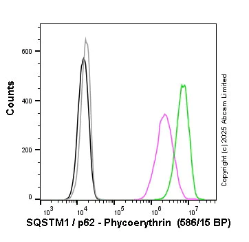 Flow Cytometry (Intracellular) - PE Anti-SQSTM1 / p62 antibody [EPR18351] - Autophagosome Marker (AB225454)