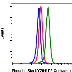 Flow Cytometry - PE Anti-STAT1 (phospho Y701) antibody [Stat1Y701-3E6] (AB278554)