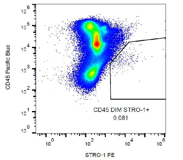 Flow Cytometry - PE Anti-STRO1 antibody [STRO-1] (AB190282), expandable thumbnail