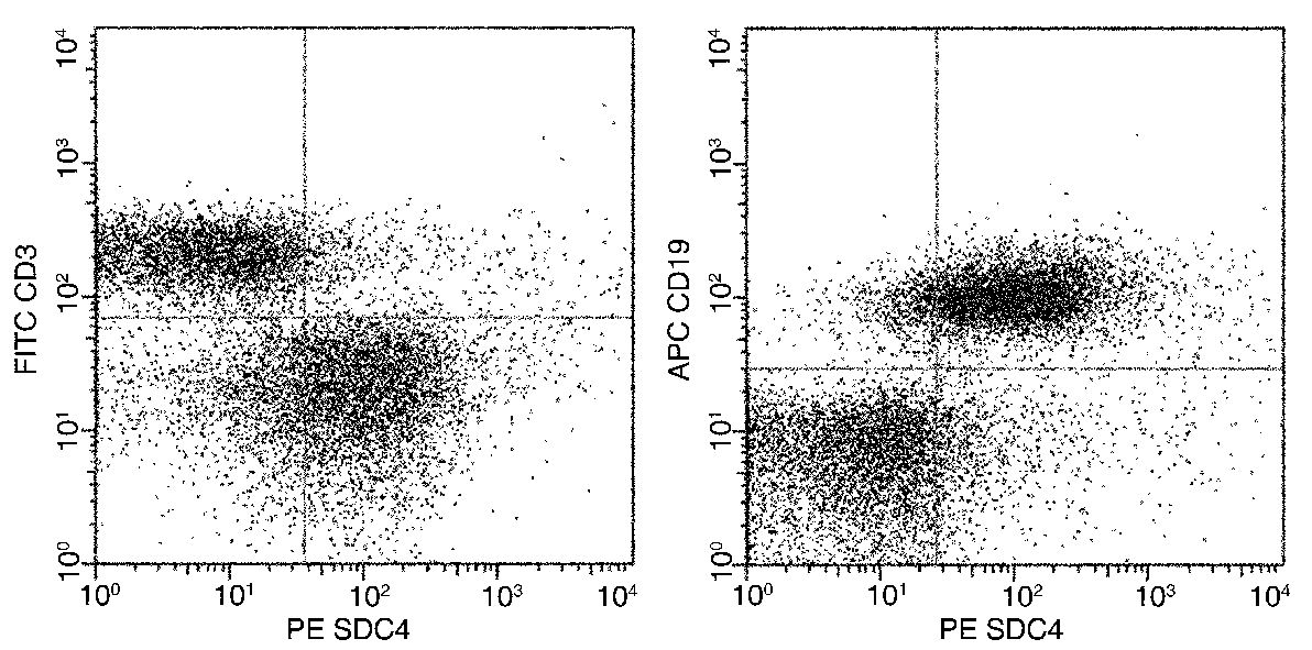 Flow Cytometry - PE Anti-Syndecan 4 antibody [112] (AB279590), expandable thumbnail