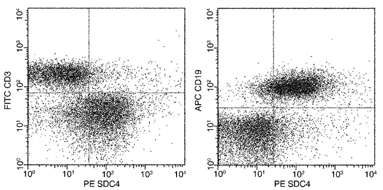 Flow Cytometry - PE Anti-Syndecan 4 antibody [112] (AB279590)