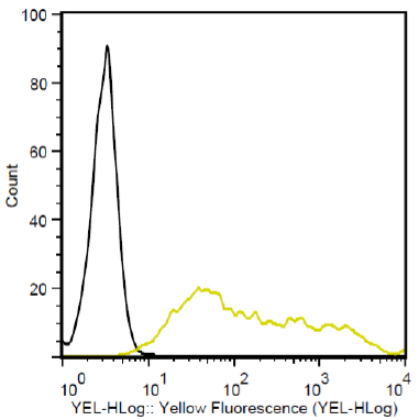 Flow Cytometry - PE Anti-T7 tag® antibody (AB72563), expandable thumbnail