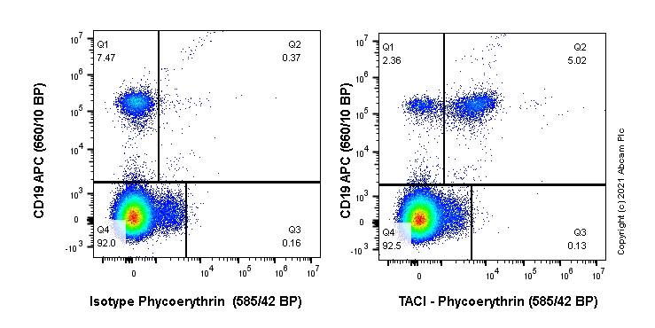 Flow Cytometry - PE Anti-TACI antibody [EPR23045-153] (AB282790), expandable thumbnail