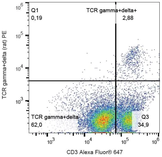 Flow Cytometry - PE Anti-TCR gamma + TCR delta antibody [V65] (AB131596)