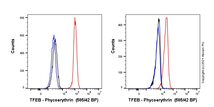 Flow Cytometry (Intracellular) - PE Anti-TFEB antibody [EPR22940-151] (AB282787)