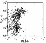 Flow Cytometry - PE Anti-TIE2 antibody [TEK4] (AB95722)