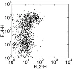 Flow Cytometry - PE Anti-TIE2 antibody [TEK4] (AB95722)