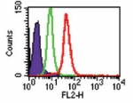 Flow Cytometry (Intracellular) - PE Anti-TLR8 antibody [44C143] (AB45097)