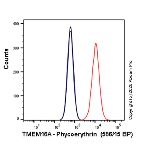 Flow Cytometry (Intracellular) - PE Anti-TMEM16A antibody [SP31] (AB267510)