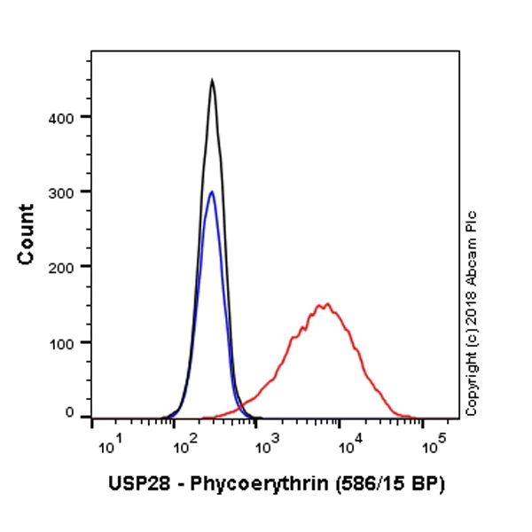 Flow Cytometry (Intracellular) - PE Anti-USP28 antibody [EPR4249(2)] (AB223962)