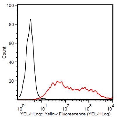 Flow Cytometry - PE Anti-V5 tag antibody (AB72480)
