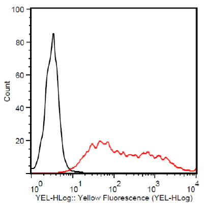Flow Cytometry - PE Anti-V5 tag antibody (AB72480)