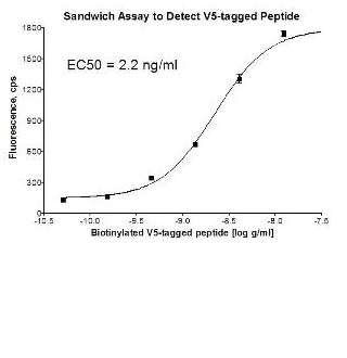 Sandwich ELISA - PE Anti-V5 tag antibody (AB72480)