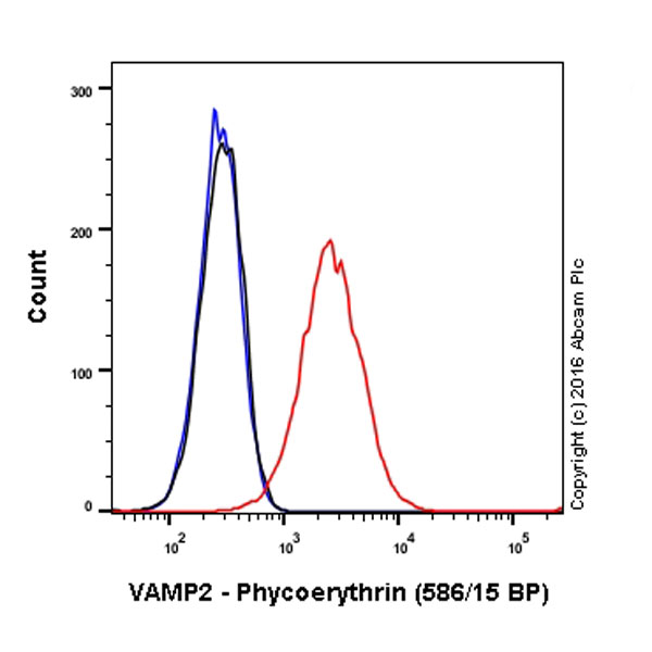 Flow Cytometry (Intracellular) - PE Anti-VAMP2 antibody [EPR12790] (AB214529)