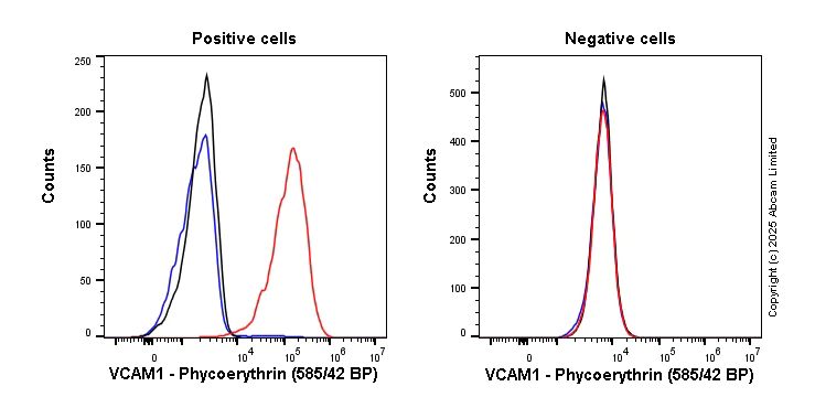 Flow Cytometry - PE Anti-VCAM1 antibody [EPR27027-79] (AB323936)