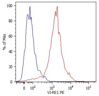 Flow Cytometry (Intracellular) - PE Anti-Vimentin antibody [VI-RE/1] (AB49918), expandable thumbnail
