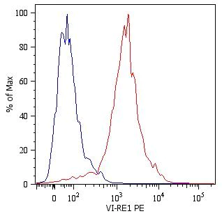 Flow Cytometry (Intracellular) - PE Anti-Vimentin antibody [VI-RE/1] (AB49918)