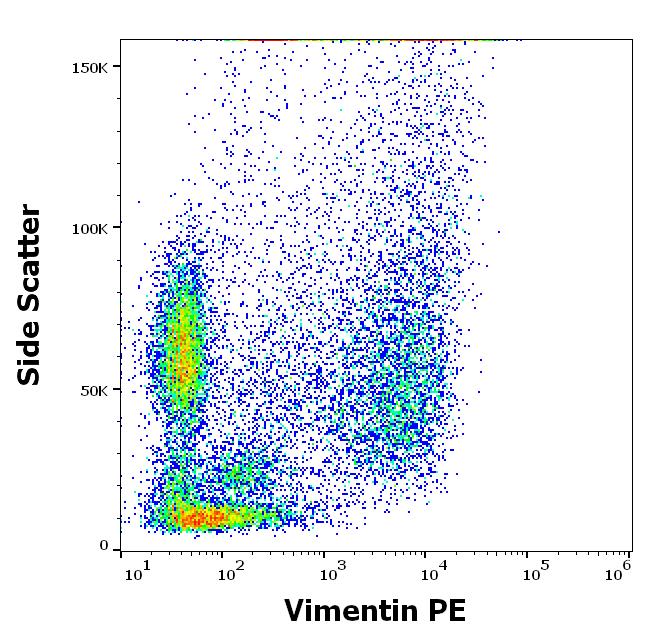 Flow Cytometry (Intracellular) - PE Anti-Vimentin antibody [VI-RE/1] (AB49918), expandable thumbnail