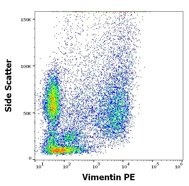 Flow Cytometry (Intracellular) - PE Anti-Vimentin antibody [VI-RE/1] (AB49918)