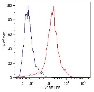 Flow Cytometry (Intracellular) - PE Anti-Vimentin antibody [VI-RE/1] (AB49918), expandable thumbnail
