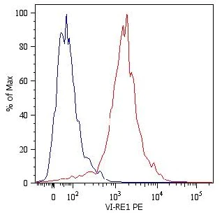 Flow Cytometry (Intracellular) - PE Anti-Vimentin antibody [VI-RE/1] (AB49918)