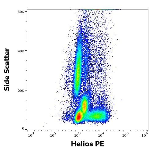 Flow Cytometry (Intracellular) - PE Anti-ZNFN1A2/HELIOS antibody [22F6] (AB199397)