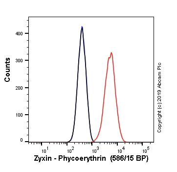 Flow Cytometry (Intracellular) - PE Anti-Zyxin antibody [EPR4302] (AB237074)