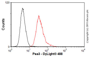 Flow Cytometry - Anti-Pea3 antibody [1A2G3] (AB70425)