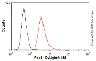 Flow Cytometry - Anti-Pea3 antibody [1A2G3] (AB70425)