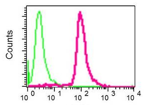 Flow Cytometry (Intracellular) - Anti-PEF1 antibody [EPR9310] - BSA and Azide free (AB248836), expandable thumbnail