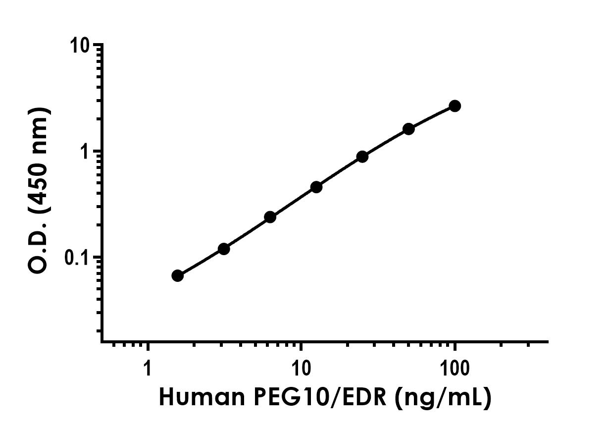 Sandwich ELISA - Anti-PEG10/EDR antibody [YCA-R20051-37-2 H2L1] - BSA and Azide free (Detector) (AB288628), expandable thumbnail