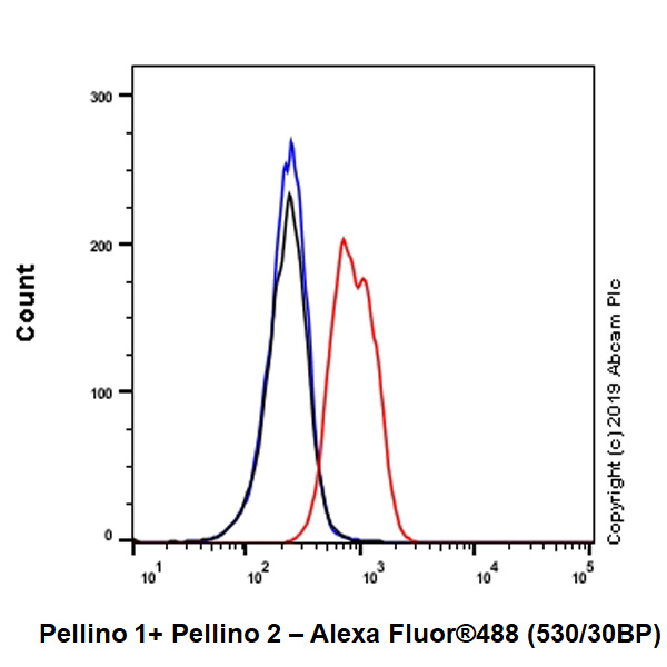 Flow Cytometry (Intracellular) - Anti-Pellino 1 + Pellino 2 antibody [EPR23275-22] (AB254297), expandable thumbnail