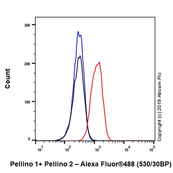 Flow Cytometry (Intracellular) - Anti-Pellino 1 + Pellino 2 antibody [EPR23275-22] (AB254297), expandable thumbnail