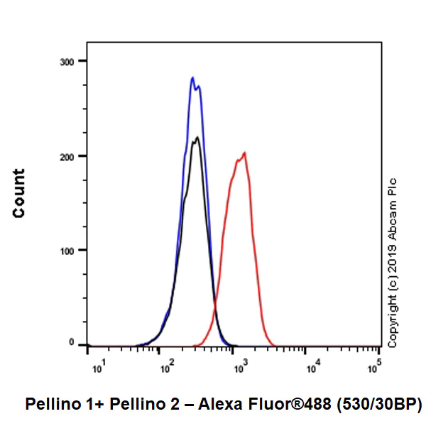 Flow Cytometry (Intracellular) - Anti-Pellino 1 + Pellino 2 antibody [EPR23275-22] - BSA and Azide free (AB270611)