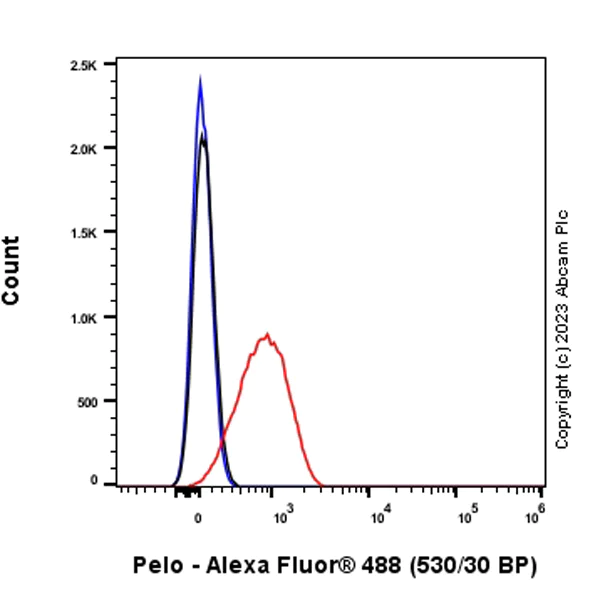 Flow Cytometry (Intracellular) - Anti-Pelo antibody [EPR26003-259] (AB309344)