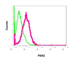 Flow Cytometry (Intracellular) - Anti-PEN2 antibody [EPR9200] (AB154830), expandable thumbnail