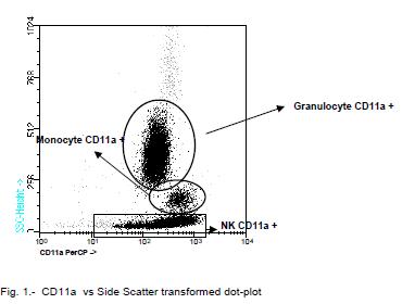 Flow Cytometry - PerCP Anti-CD11a antibody [TP1/40] (AB91140)