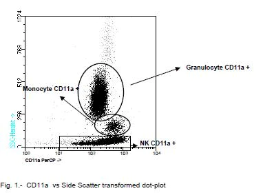 Flow Cytometry - PerCP Anti-CD11a antibody [TP1/40] (AB91140)